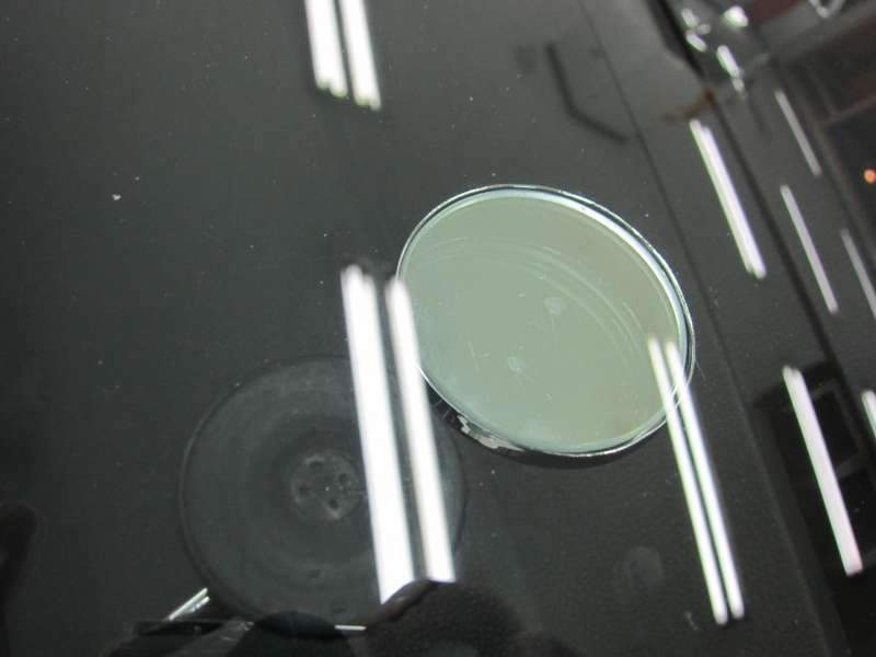 BMW 528 판금·도색 작업 후