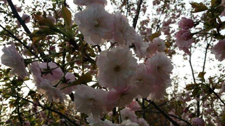  외형 복원 시공 사진