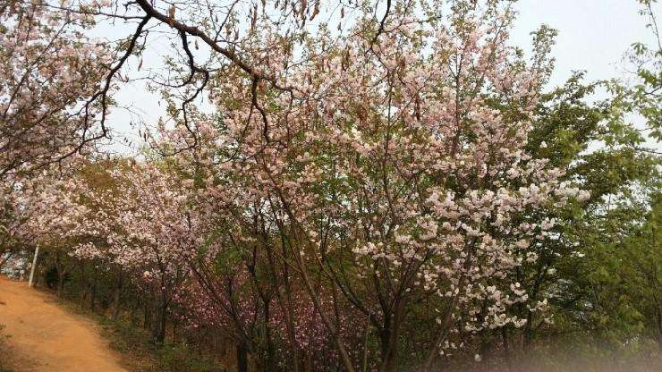 외형 복원 시공 사진