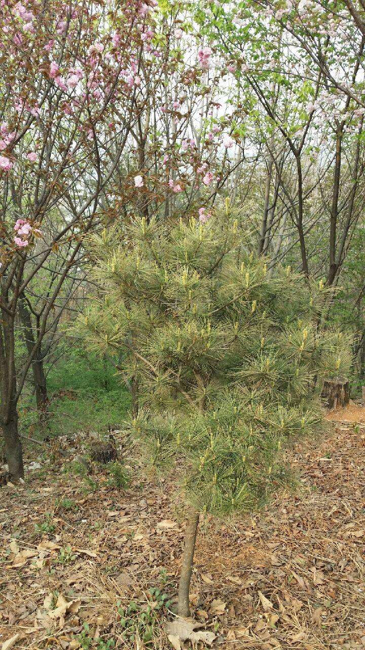 외형 복원 시공 사진