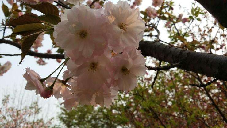  외형 복원 시공 사진