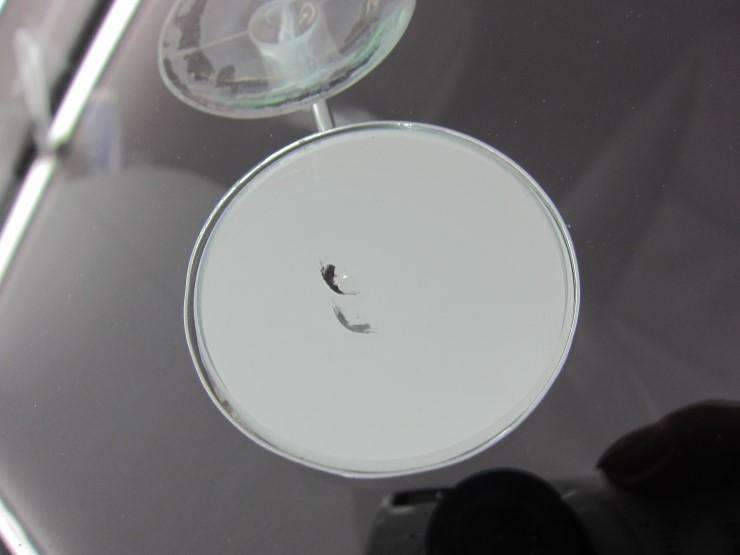 BMW 320i 유리 복원·교체 시공 사진