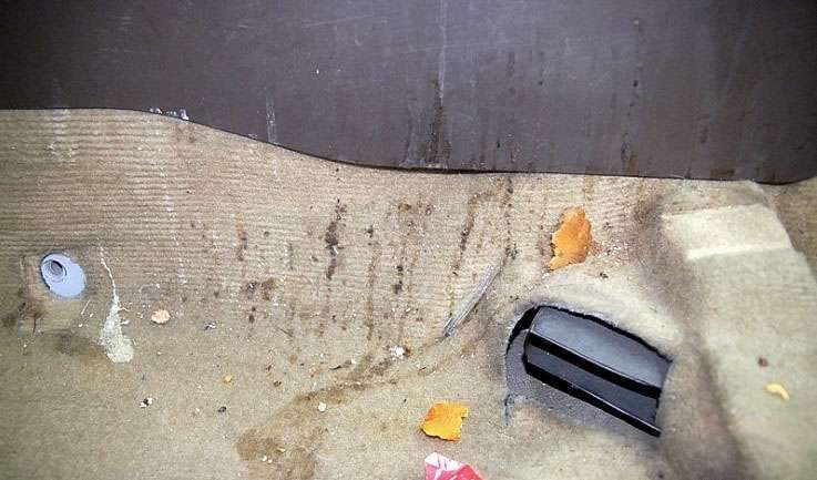  덴트 시공 사진