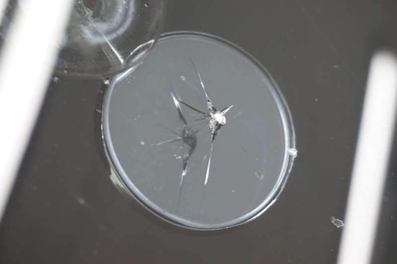 마포구 덴트 광택 전문점 폭스바겐 골프 돌 빵 유리복원 시공 전