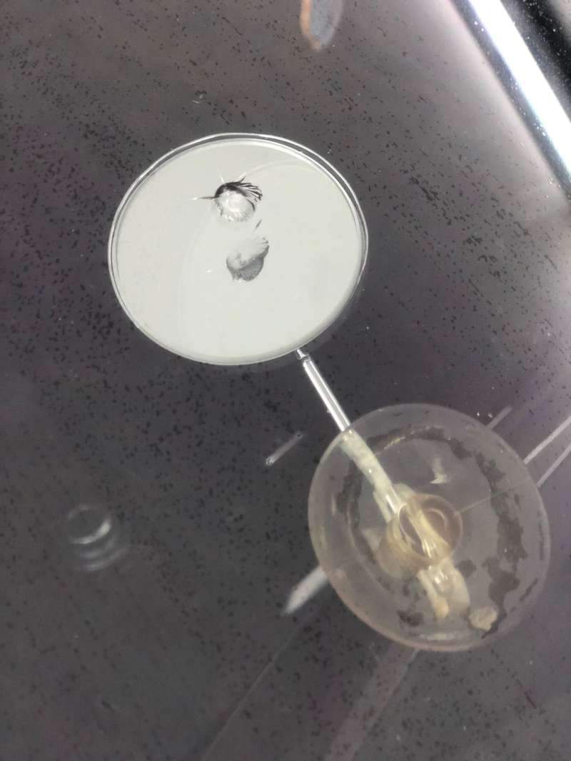 BMW 320d 유리 복원·교체 작업 전 09