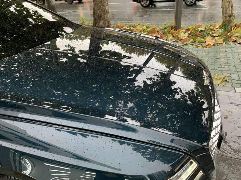 제네시스 G80 덴트 시공 사진