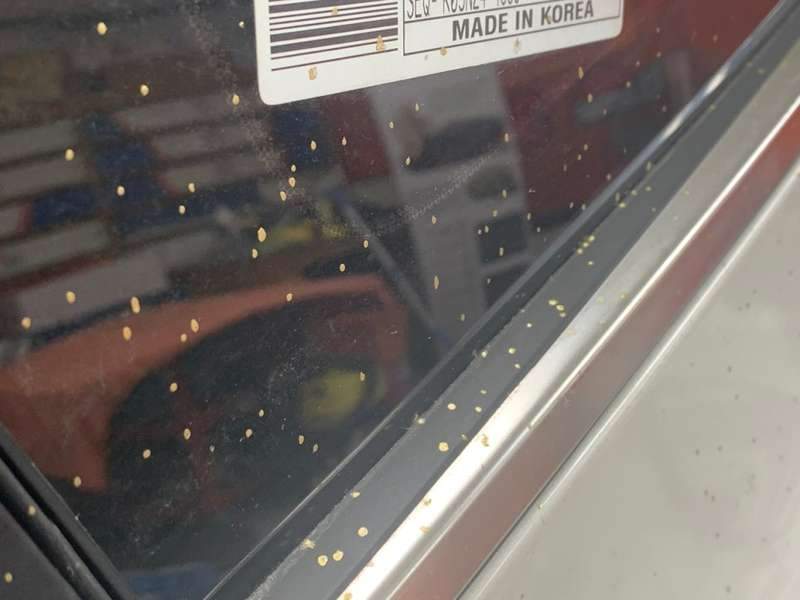 셀토스 유리막 코팅 시공 사진